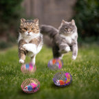 Cat Spring Ball Toy Set for Kittens and Cats Interactive Pet Toys