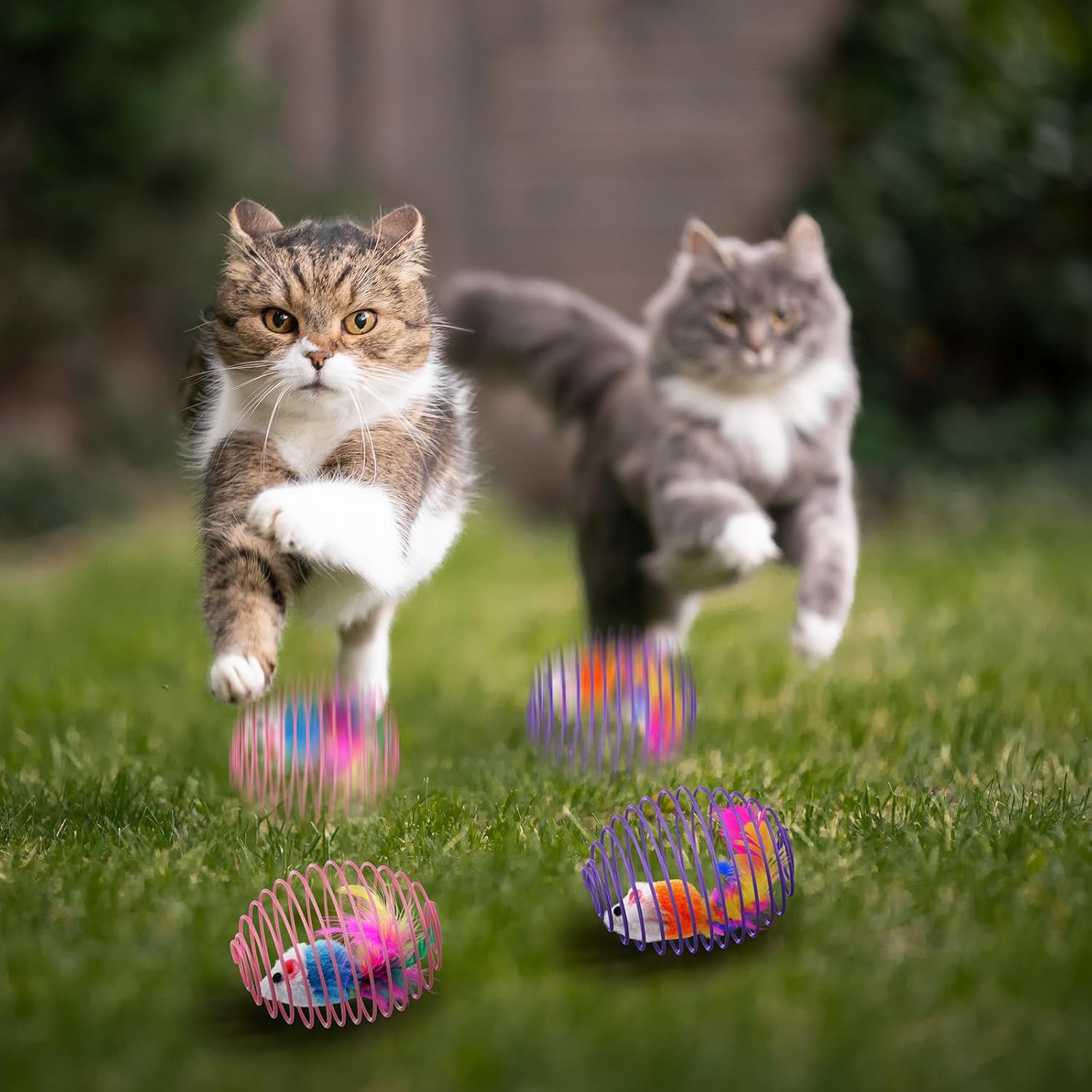 Cat Spring Ball Toy Set for Kittens and Cats Interactive Pet Toys