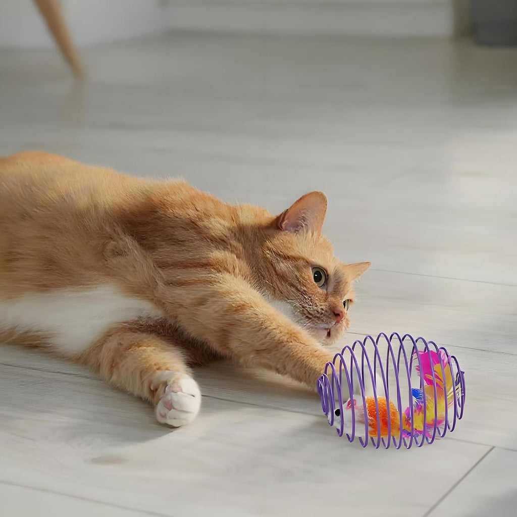 Cat Spring Ball Toy Set for Kittens and Cats Interactive Pet Toys