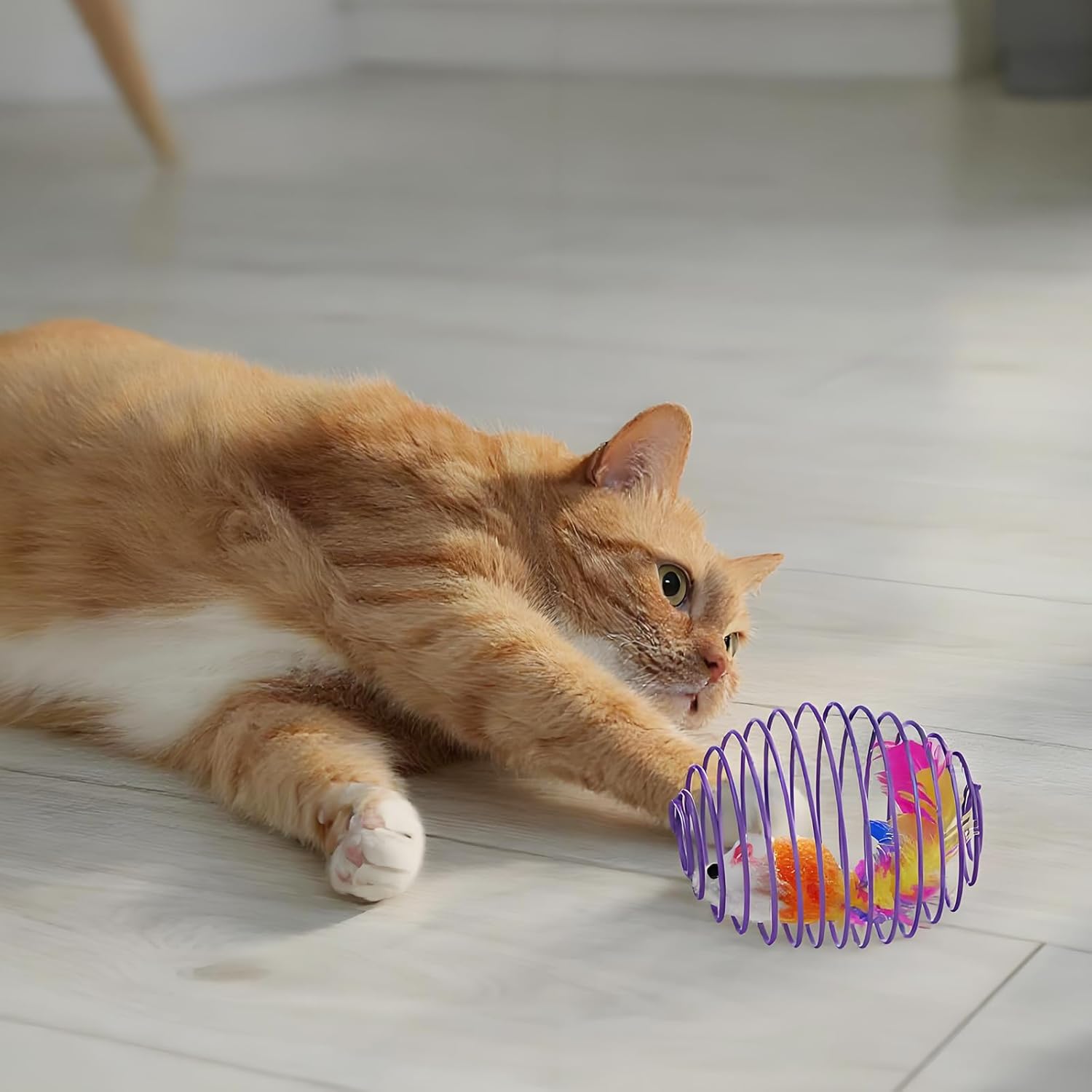 Cat Spring Ball Toy Set for Kittens and Cats Interactive Pet Toys