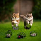 Cat Spring Ball Toy Set for Kittens and Cats Interactive Pet Toys