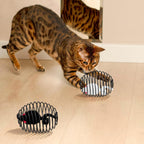 Cat Spring Ball Toy Set for Kittens and Cats Interactive Pet Toys