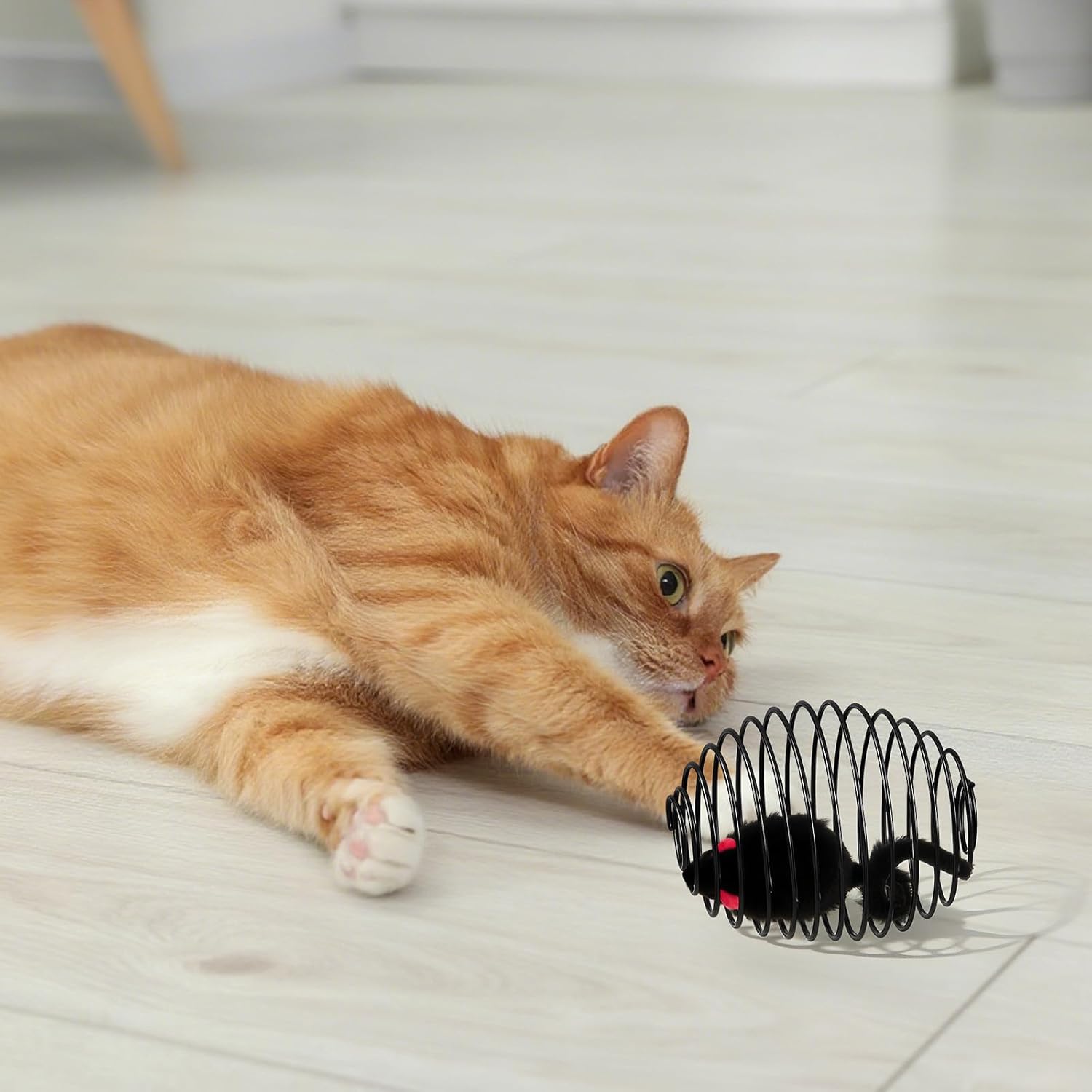 Cat Spring Ball Toy Set for Kittens and Cats Interactive Pet Toys