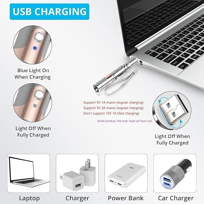 Rechargeable Laser Pointer Cat Toy Interactive Pet Light