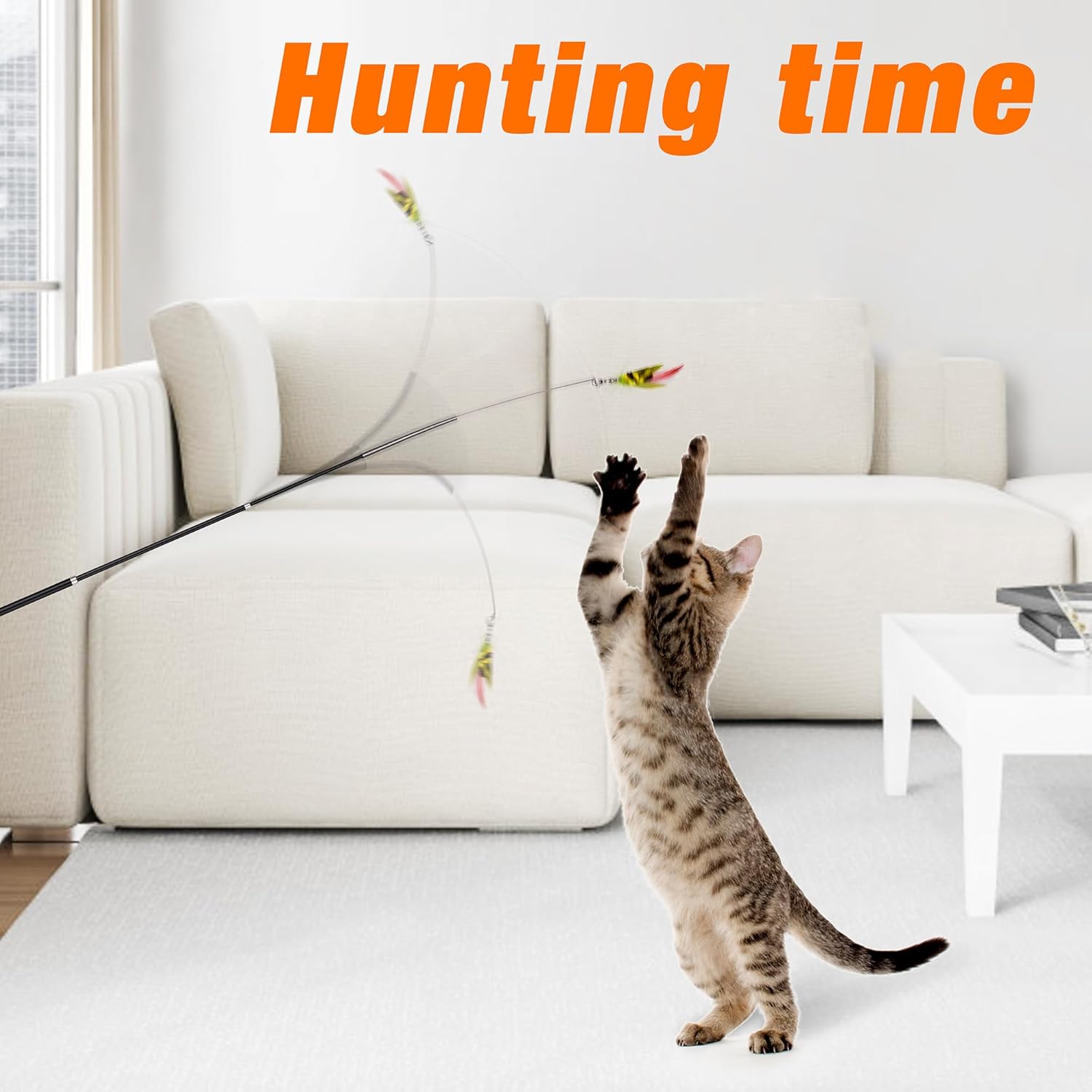 Cat Wand Toy with Teaser and Feather Refill Pack