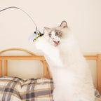 Cat Wand Toy with Teaser and Feather Refill Pack