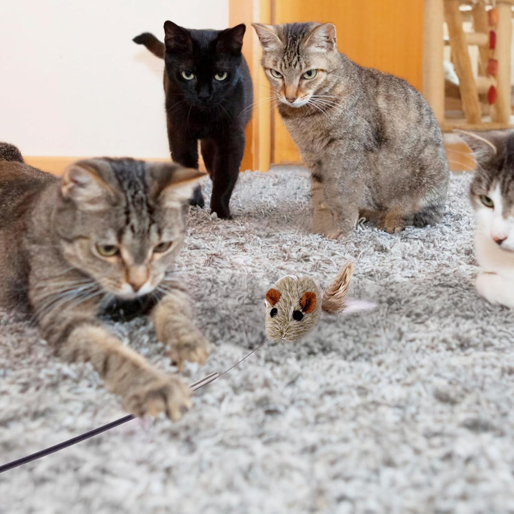 Cat Wand Toy with Teaser and Feather Refill Pack