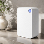 Dehumidifier Air Purifier Portable Moisture Absorber for Home Kitchen Bedroom