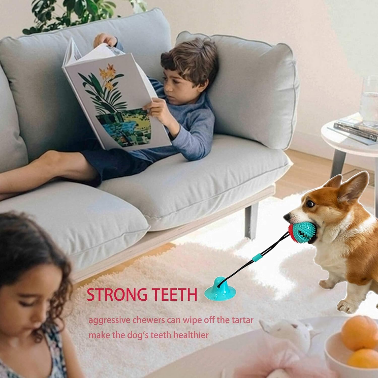 Dog Rope Chew Toy Puzzle Ball for Aggressive Chewers