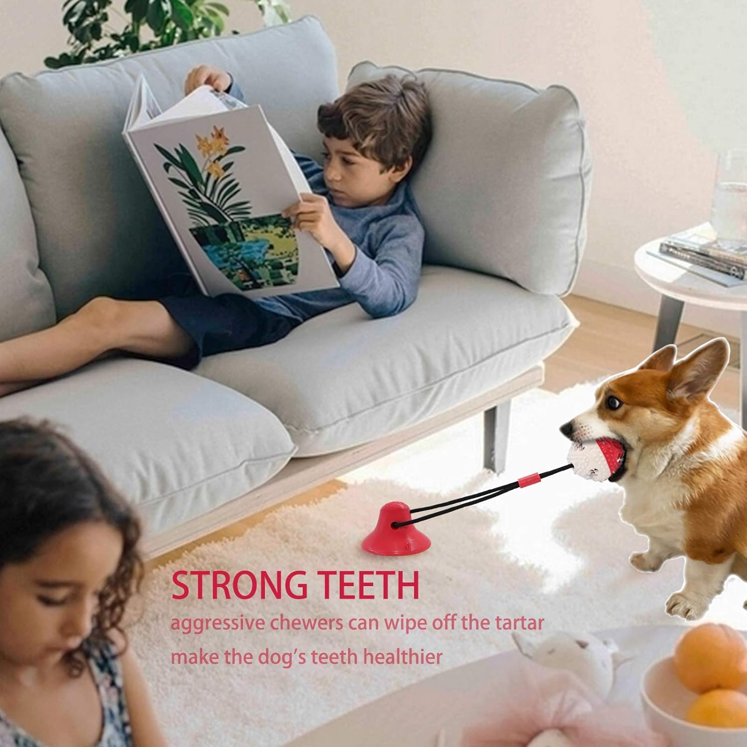 Dog Rope Chew Toy Puzzle Ball for Aggressive Chewers