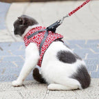 Cat Harness Adjustable Pet Harness for Cats