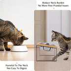 Adjustable Height Elevated Cat Food Bowl Stand Pet Feeding Dish Holder