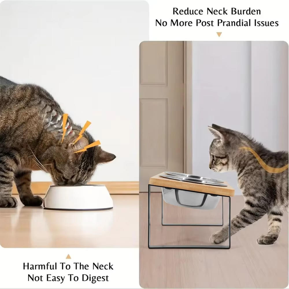 Adjustable Height Elevated Cat Food Bowl Stand Pet Feeding Dish Holder
