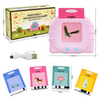English Language Learning Educational Toy Game