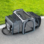 Foldable Backpack Pet Carrier Travel Bag