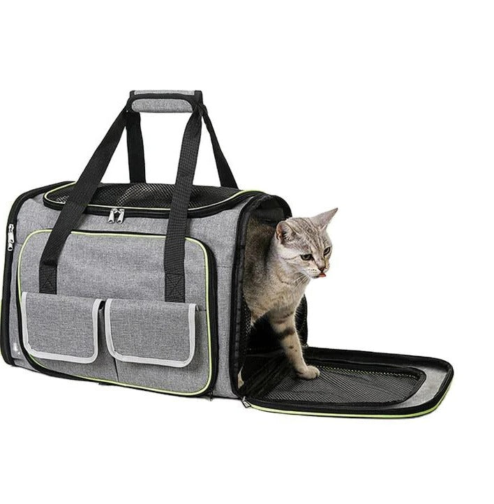 Foldable Backpack Pet Carrier Travel Bag
