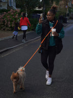 Hands Free Adjustable Dog Leash with Waist Belt Attachment