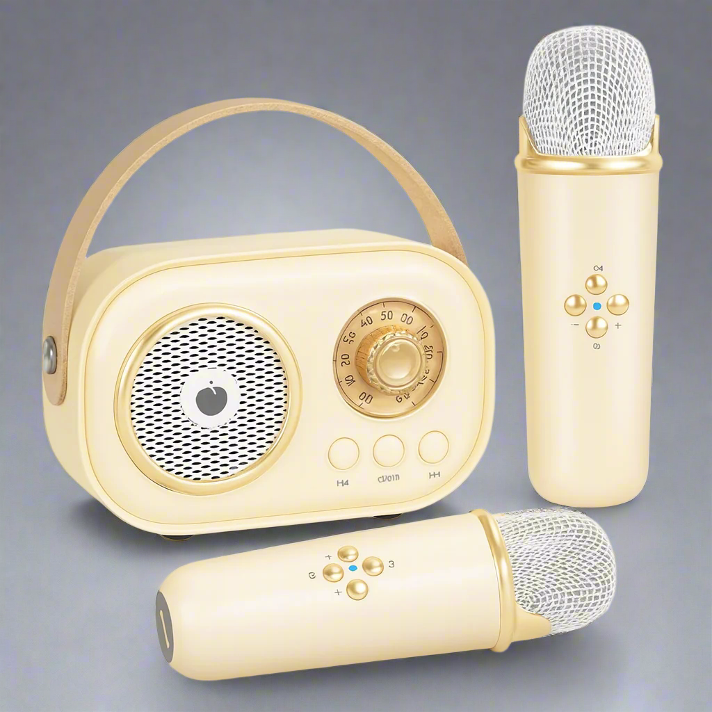 Karaoke Machine Bluetooth Speaker Portable Audio System Set