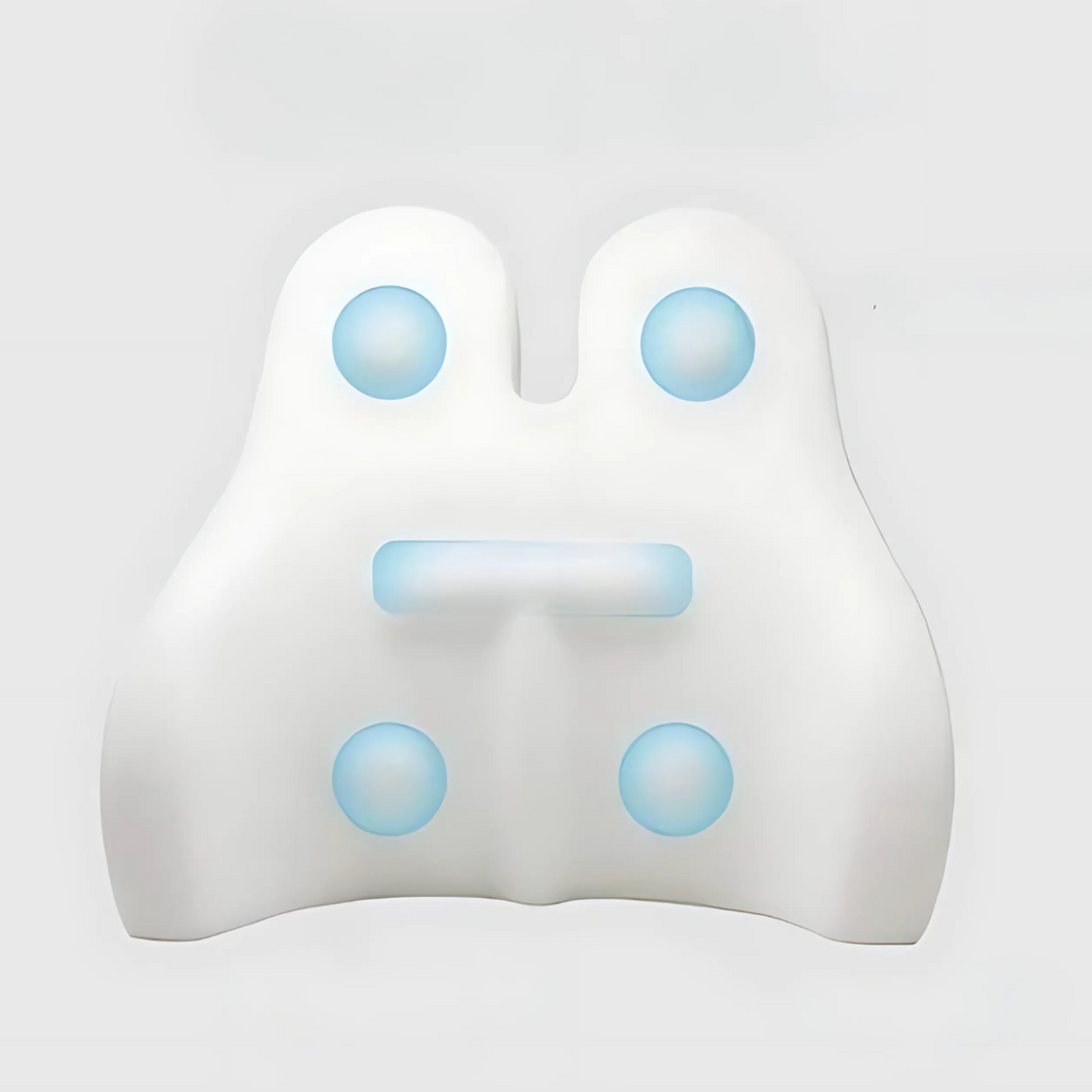 Memory Foam Lumbar Support Cushion Pillow for Back Pain Relief