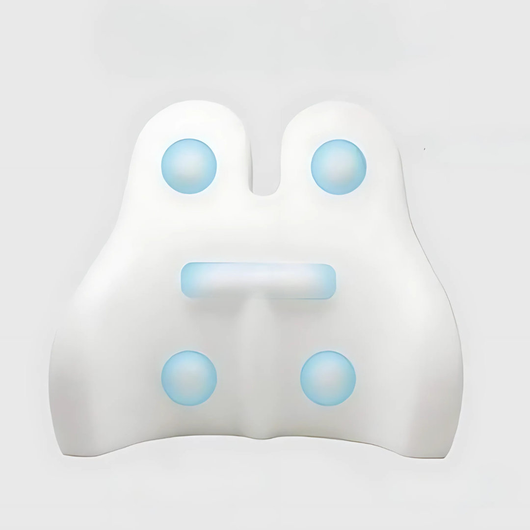 Memory Foam Lumbar Support Cushion Pillow for Back Pain Relief