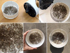 Mosquito Killer Lamp UV Light Insect Zapper Trap Electric Bug Catcher