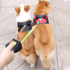 Double Dog Leash with LED Light Attachment Adjustable Hands Free