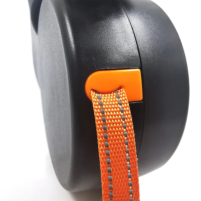 Double Dog Leash with LED Flashlight