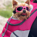 Pet Backpack Adjustable Dog Cat Carrier Backpack