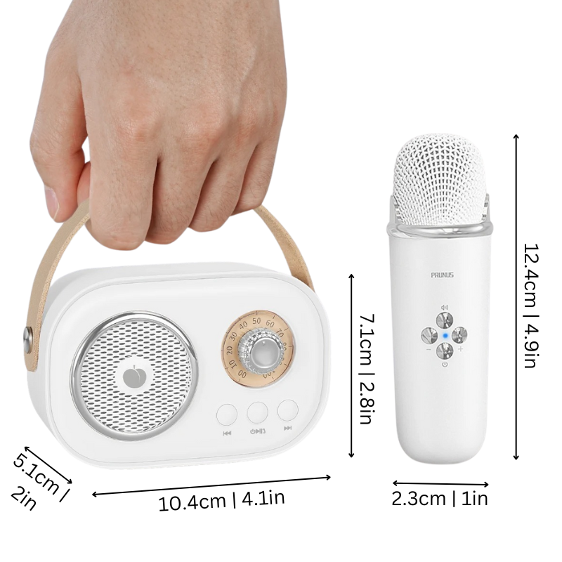 Karaoke Machine Bluetooth Speaker System Retro Style