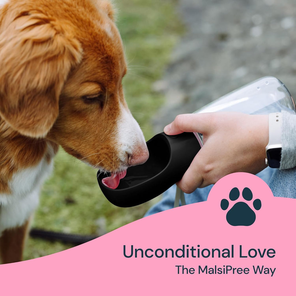 Portable Dog Water Bottle 19 Ounce Travel Pet Water Dispenser