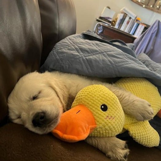 Dog Toy Duck Shape Plush Chew Toy