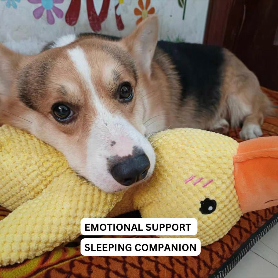 Dog Toy Duck Shape Plush Chew Toy