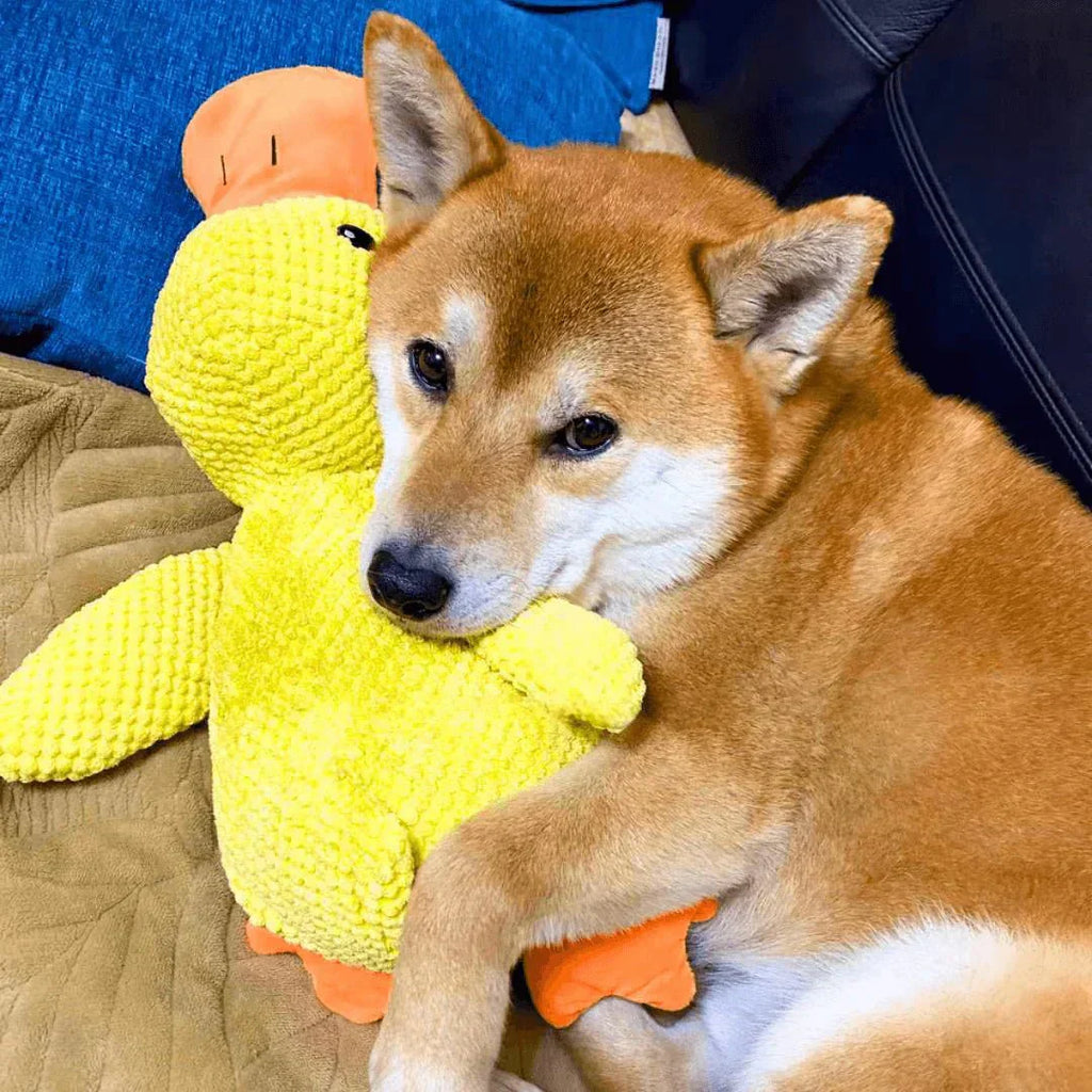 Dog Toy Duck Shape Plush Chew Toy