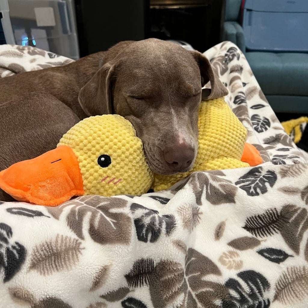 Dog Toy Duck Shape Plush Chew Toy
