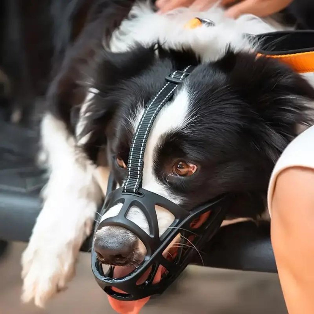 Adjustable Nylon Dog Muzzle Safety Canine Muzzle