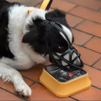 Adjustable Nylon Dog Muzzle Safety Canine Muzzle