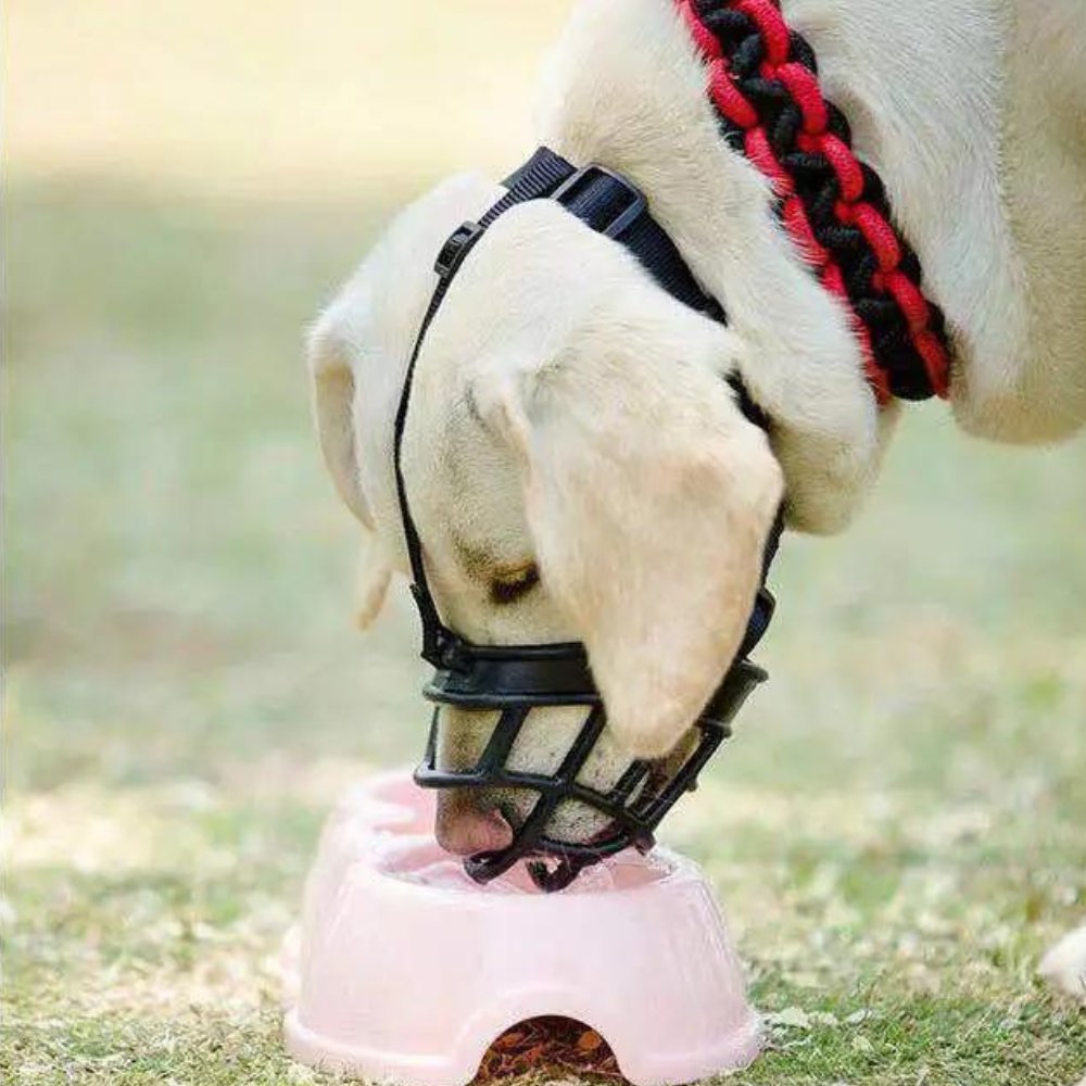 Adjustable Dog Muzzle Safety Canine Muzzle Secure Fit