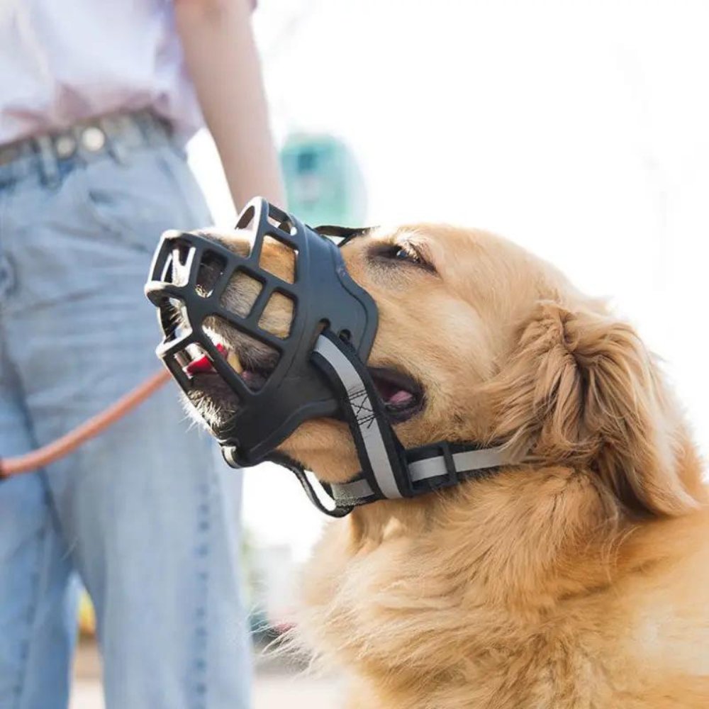Adjustable Dog Muzzle Safety Canine Muzzle Secure Fit