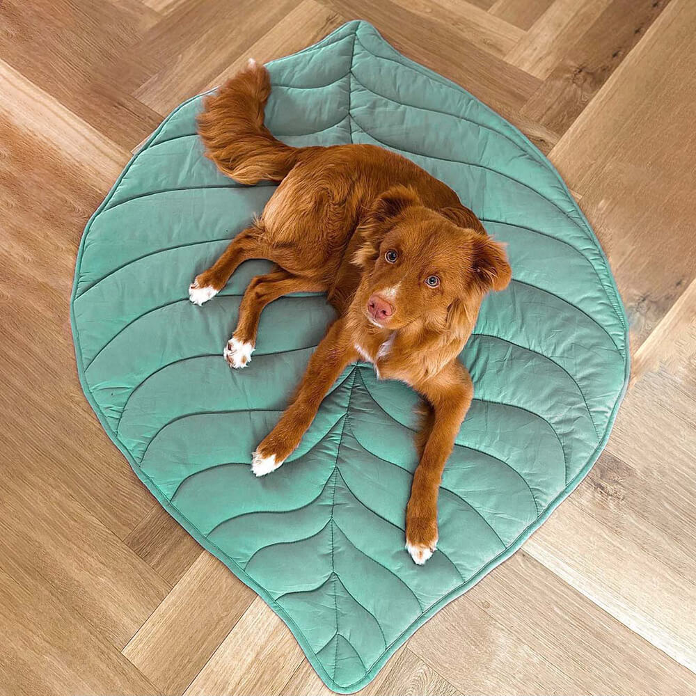 Large Dog Blanket Pet Bed Cover Washable Mat